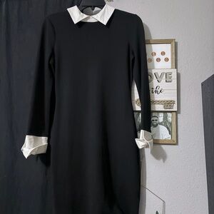VENUS Black & White Collared Dress